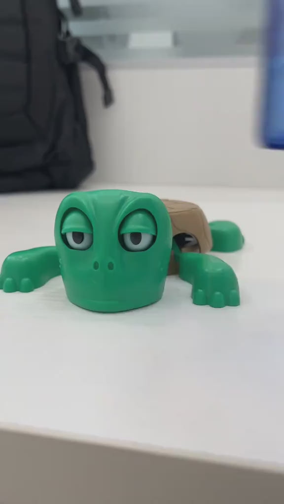 SCARE TURTLE BUY ONE GET ONE FREE